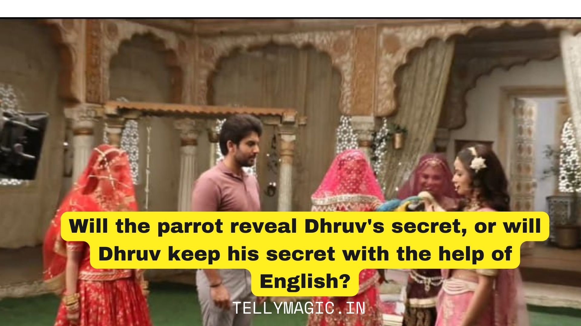 Will the parrot reveal Dhruv’s secret, or will Dhruv keep his secret with the help of English?