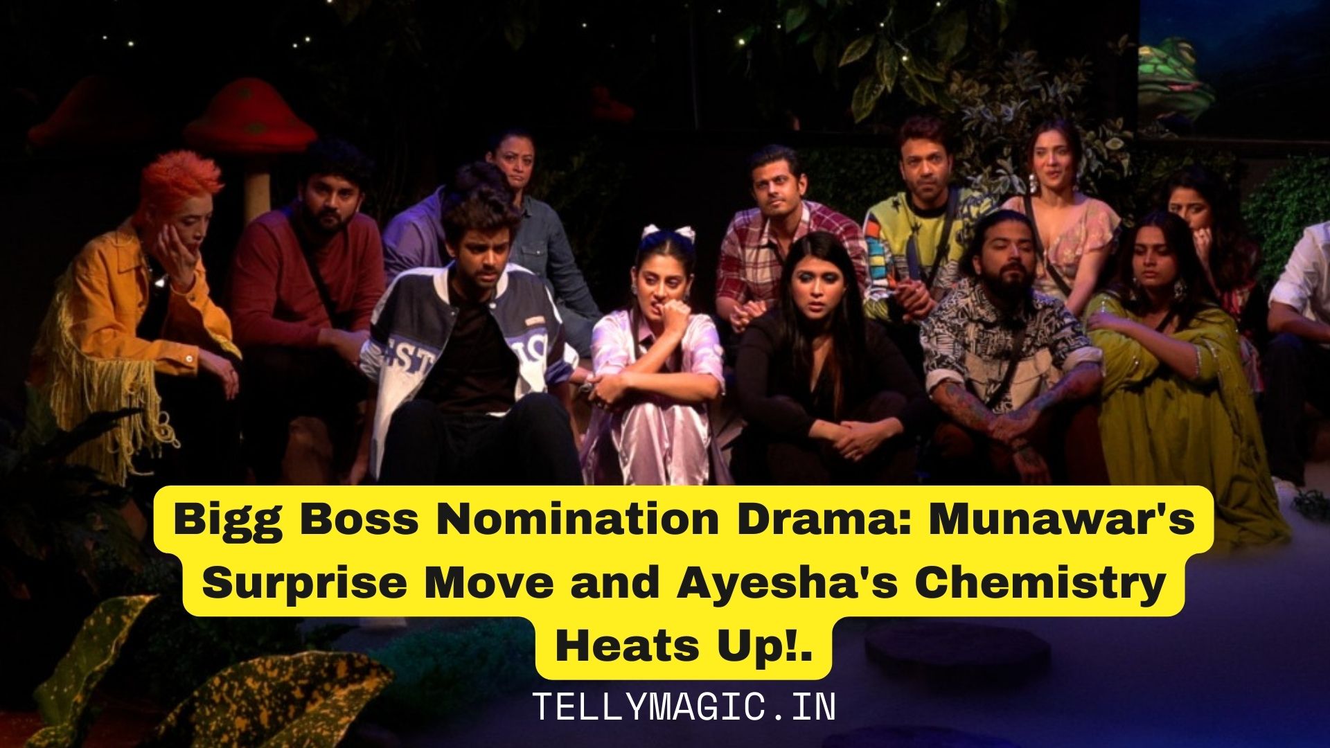 Bigg Boss Nomination Drama: Munawar’s Surprise Move and Ayesha’s Chemistry Heats Up