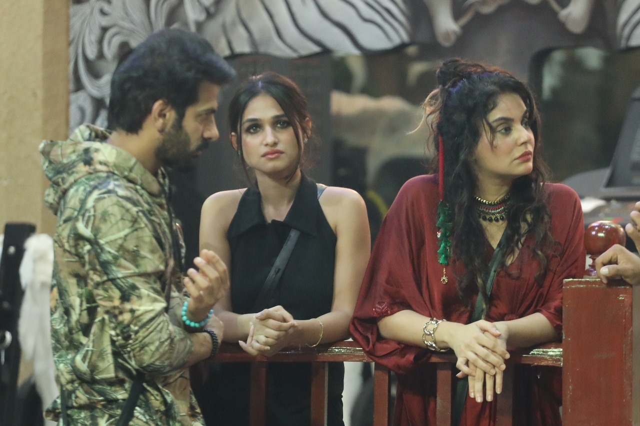 Bigg Boss 18: Will Karan Veer Mehra or Sara Arfeen Khan Face Eviction for Violence?