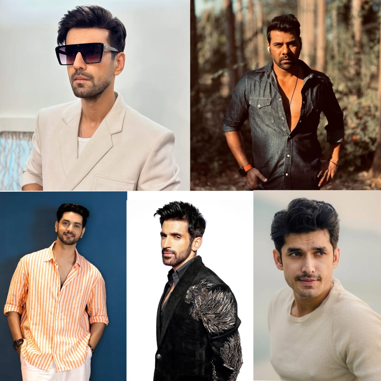 From Karanvir Sharma to Arjit Taneja: Top 5 TV Actors Who Ruled Our Hearts in 2024